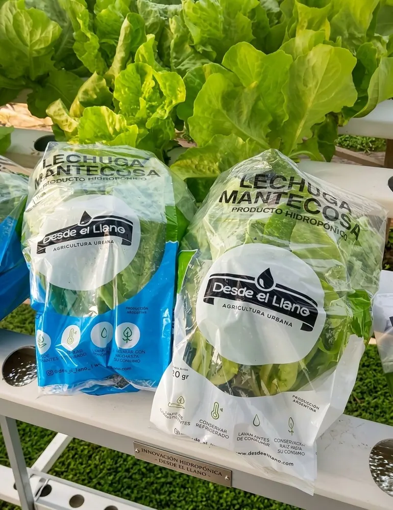 Bolsas impresas con la marca para lechuga hidropónica